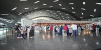 How to Travel with Animals: Essential Tips at Hamad International Airport