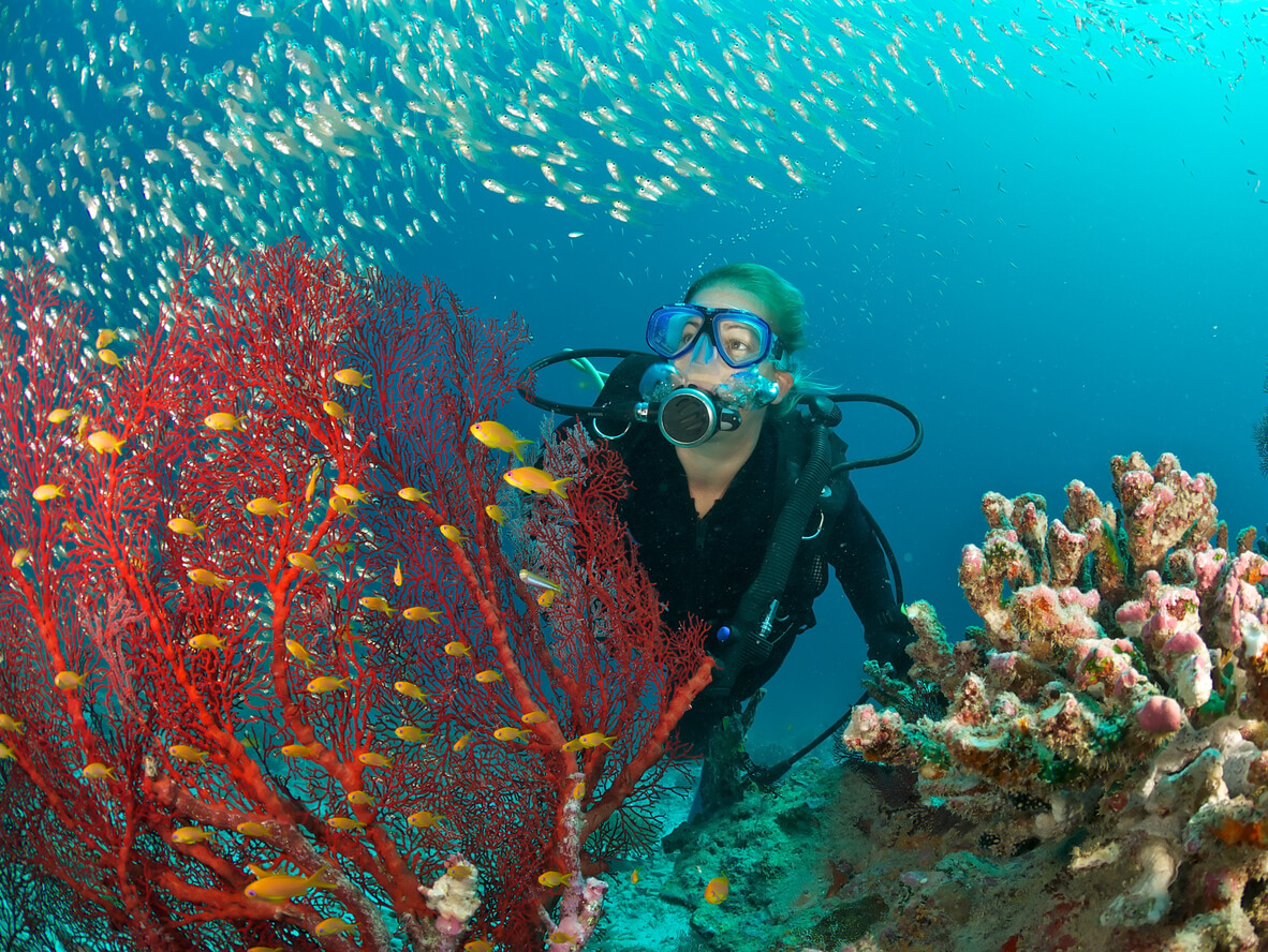 Dive into Adventure: Explore Jeddah's Top Scuba Diving Experiences in Saudi Arabia!