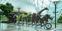 Hamad International Airport Launches 'Wildlife Wonderscapes' to Celebrate Nature and Art